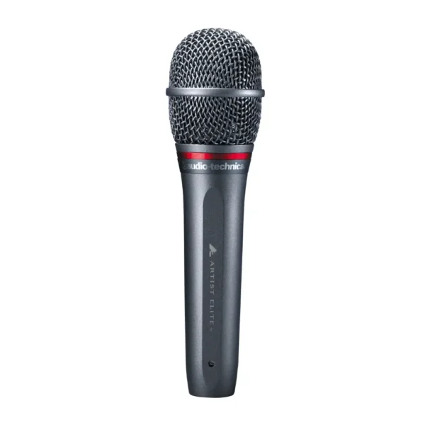 AE4100 Microphone